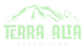 cropped terraalta logo sin fondo.png
