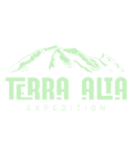 terraalta logo sin fondo